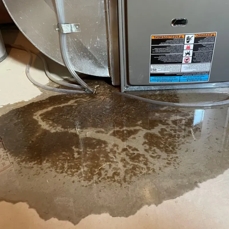 Pipe Burst and Leak Restoration in Bell Acres, PA