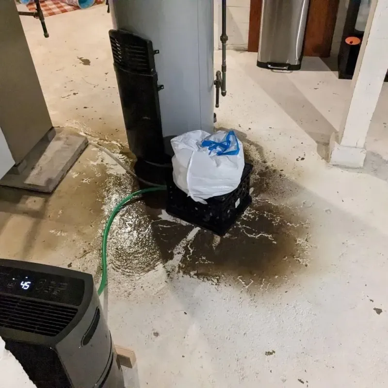 Sewage Backup Cleanup Service in Bell Acres, PA